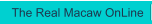 The Real Macaw OnLine